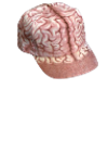 @CursedDANKmemes's hat